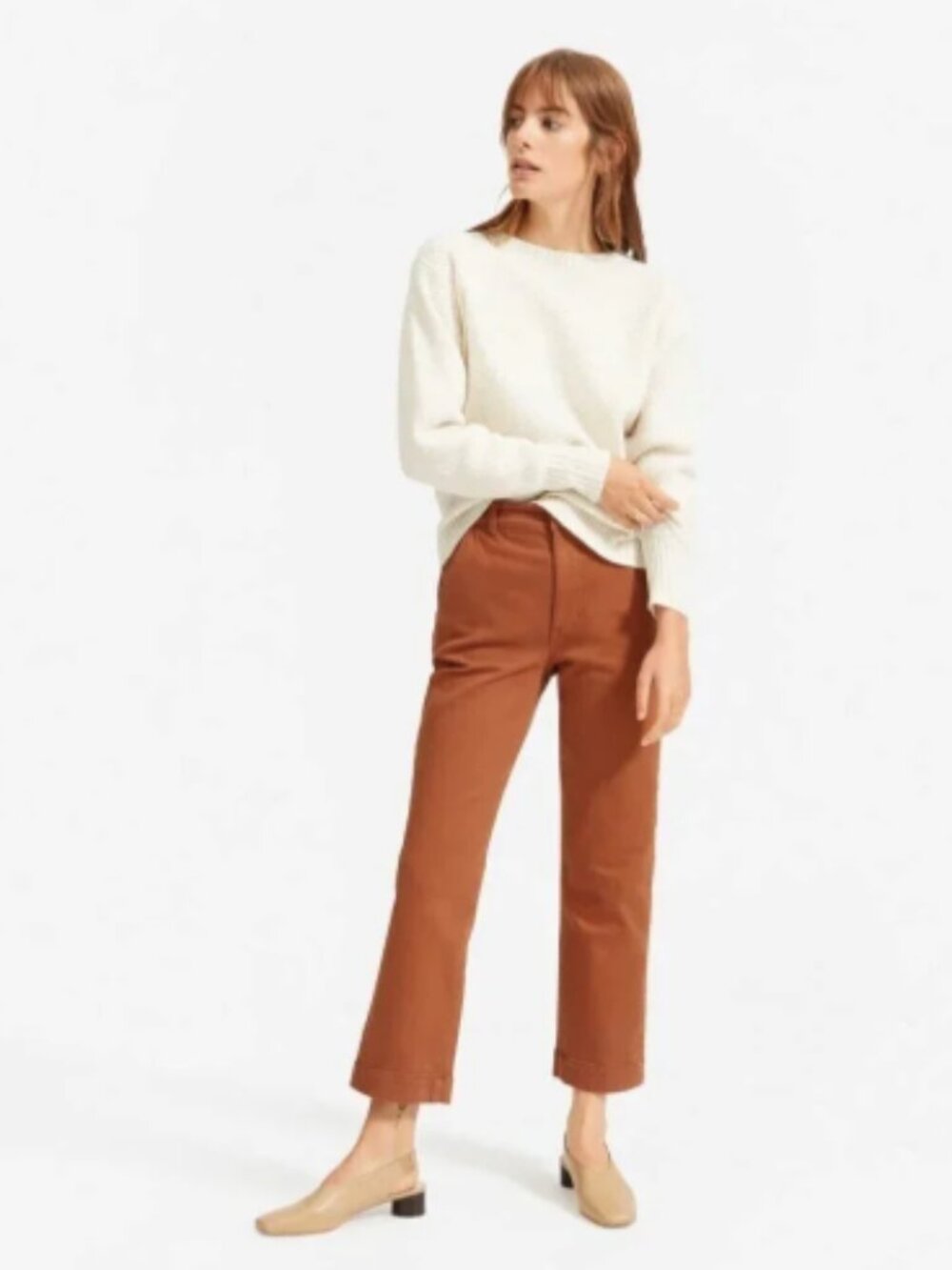Everlane Straight Leg Crop Chinos in Cocoa